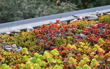 the cost of Drybridge green roof installation