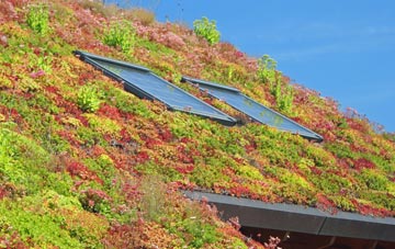 Drybridge living roof systems
