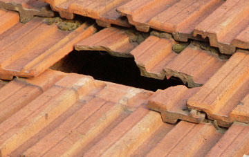 roof repair Drybridge